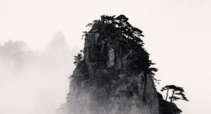 跨界合作区 - 大象传媒官网 - 异业品牌联合共创合作对接平台