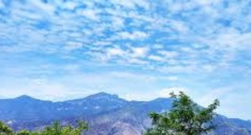 热点企划局 - 大象传媒直接进入 - 节点热点事件创意企划中心